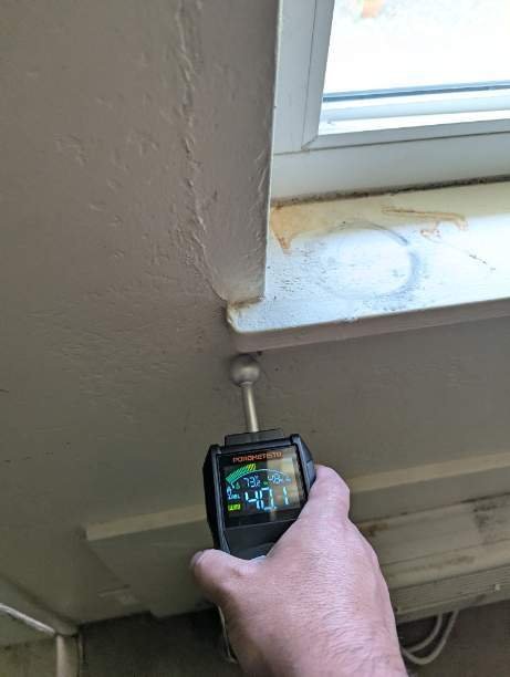 Image for Fast Mold Testing - Fort Lauderdale with ID of: 6958228