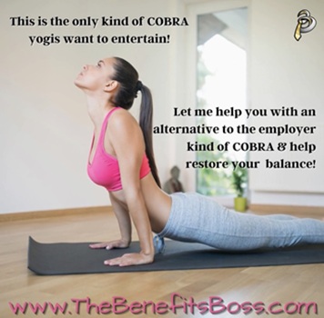 Image for The Benefits Boss with ID of: 6958288
