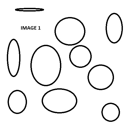 Image for Window Company with ID of: 6958482
