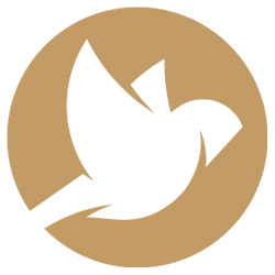 Image for Finch Consulting with ID of: 5888064