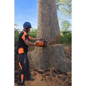 Image for Ability Tree Service with ID of: 6962035