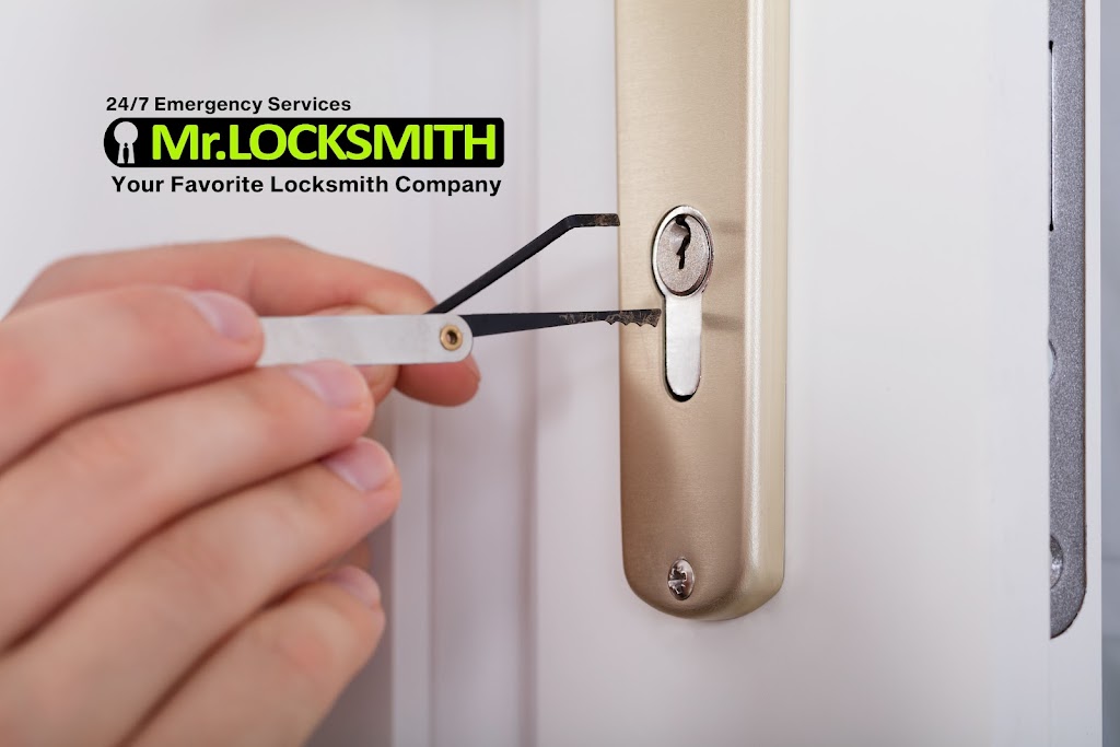 Image for Mr. LOCKSMITH with ID of: 6963039
