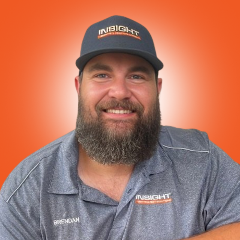 Image for Insight Termite & Pest Solutions with ID of: 6963418