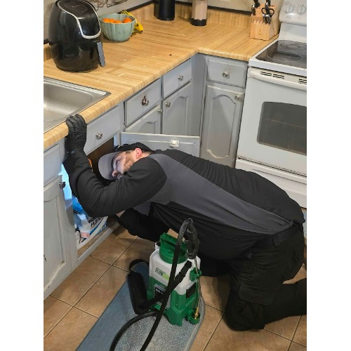 Image for Sasquatch Pest Control with ID of: 6964804
