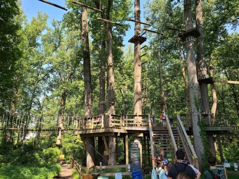 Image for The Adventure Park at Sandy Spring with ID of: 6965192