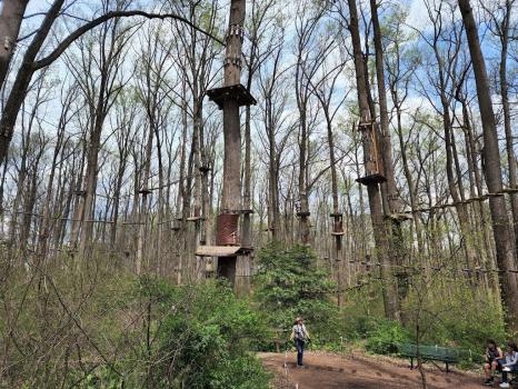 Image for The Adventure Park at Sandy Spring with ID of: 6965195