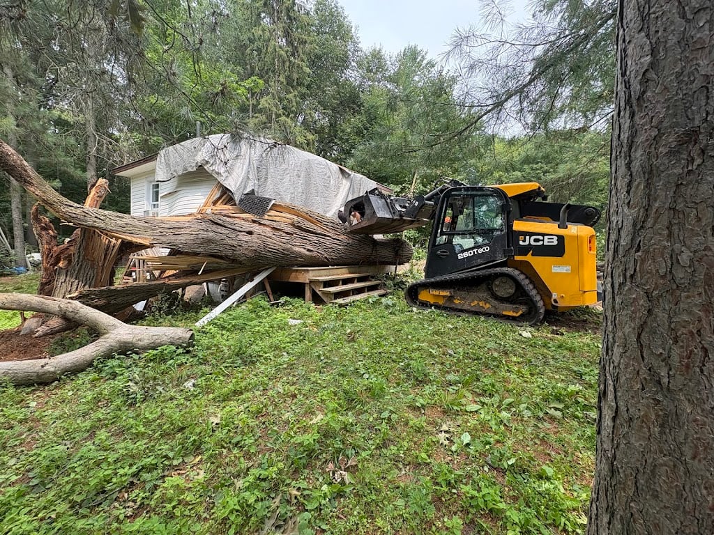 Image for Steve's Tree Service with ID of: 6965414