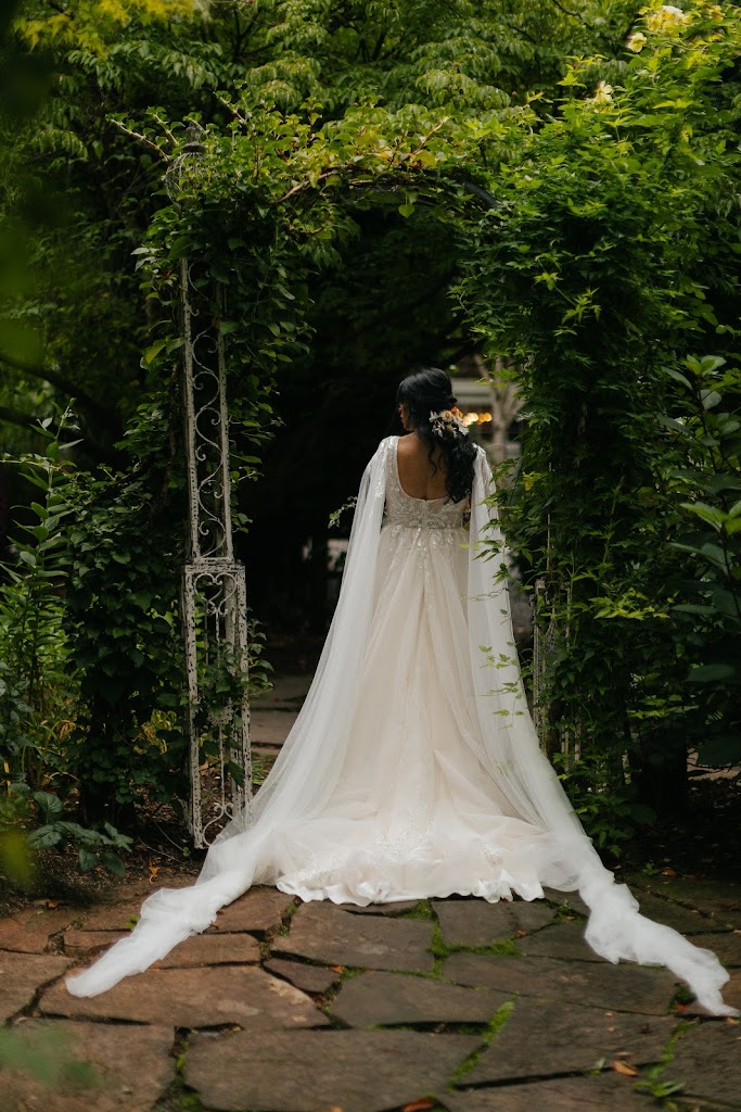 Image for The Wedding Dresser with ID of: 6965927