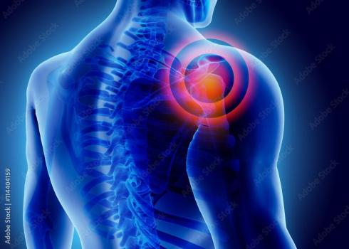 Image for Jackson Orthopedics with ID of: 5650303