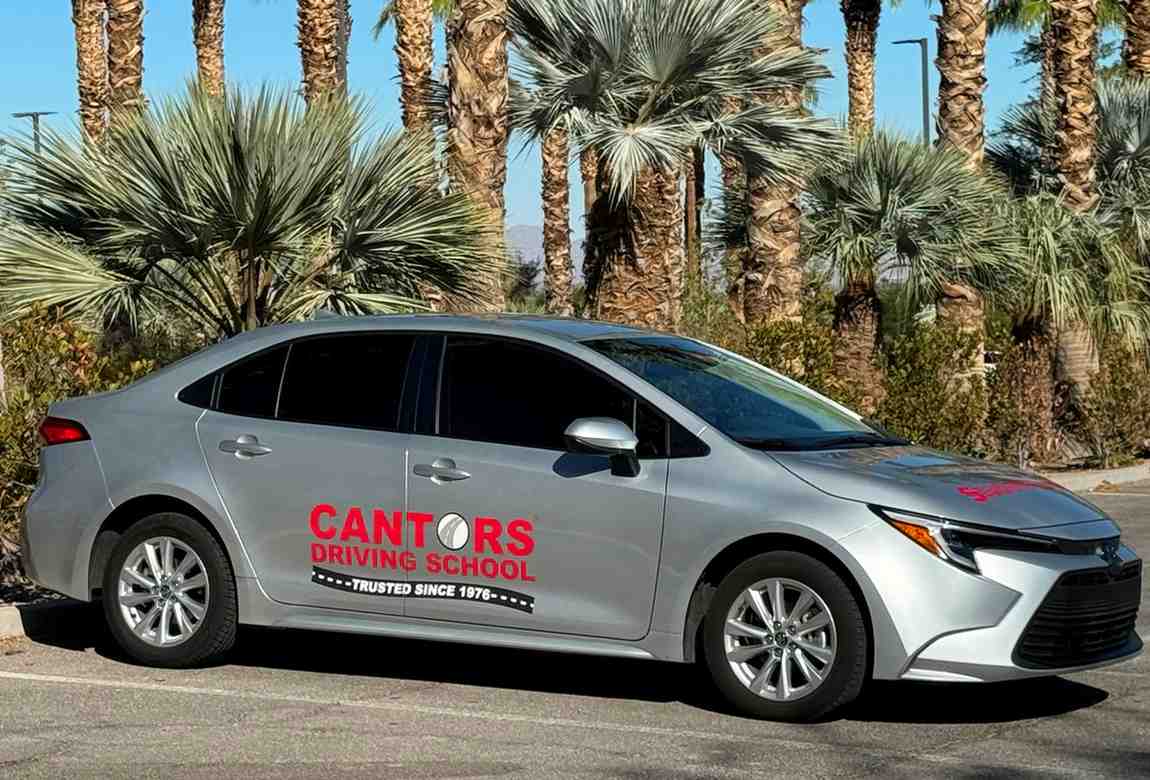 Image for Cantor's Driving School with ID of: 6967124