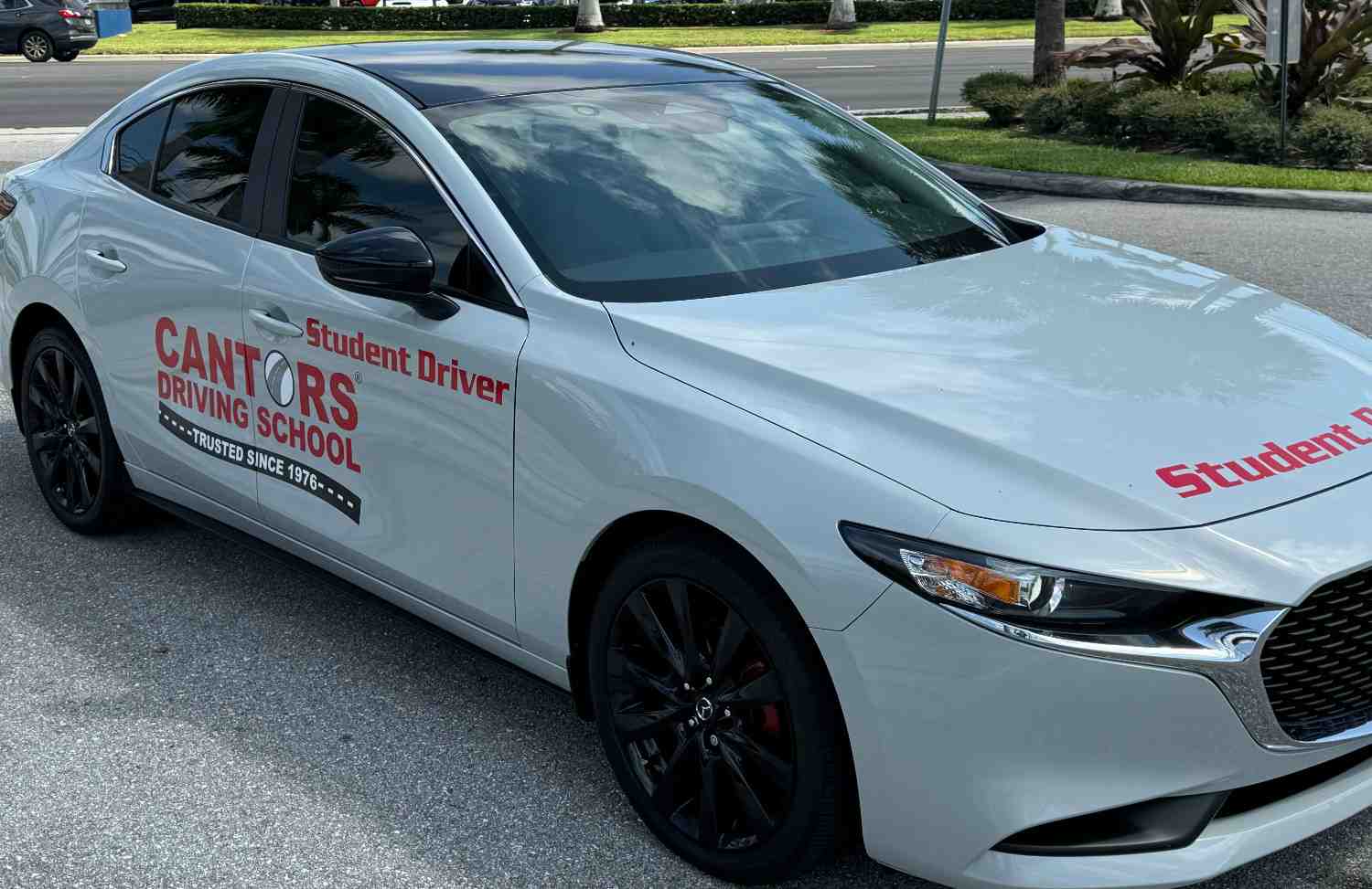 Image for Cantor's Driving School with ID of: 6967127