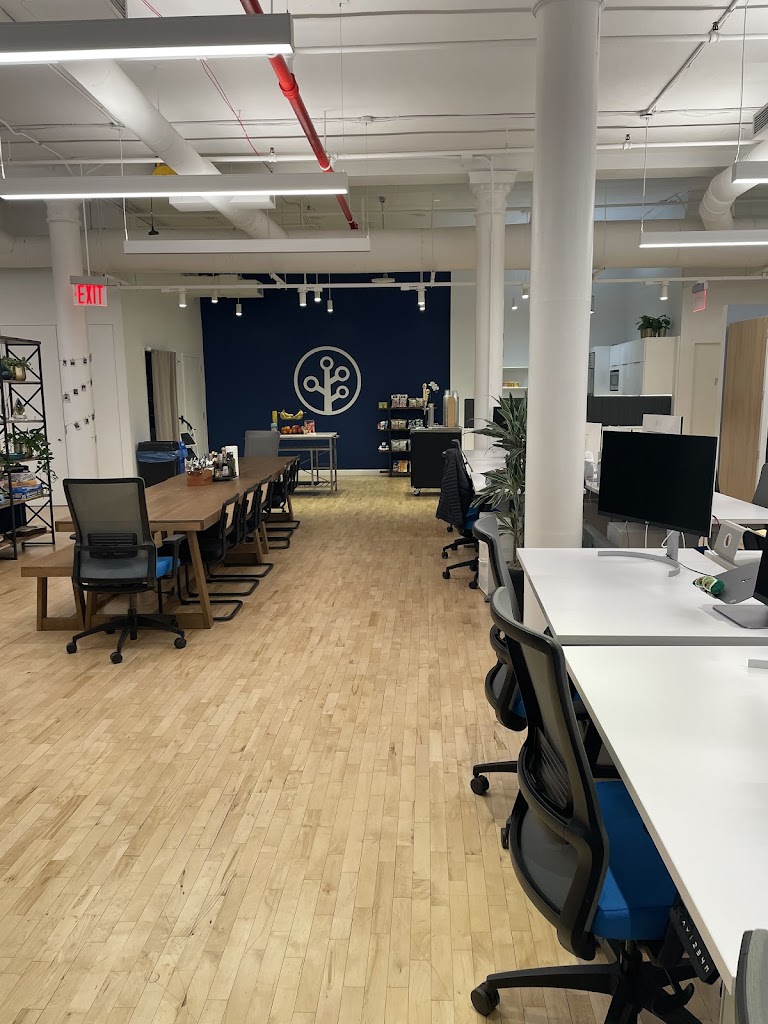 Image for Impeccable Cleaning NYC with ID of: 6868686
