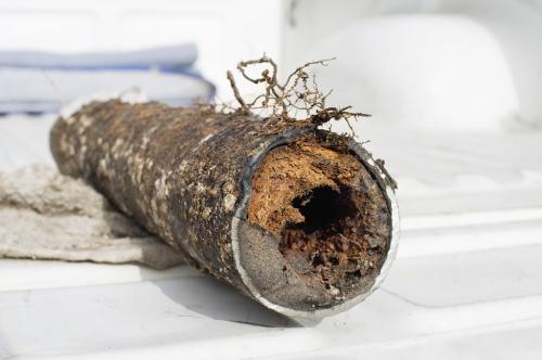 Image for The Drain Authority with ID of: 6971814