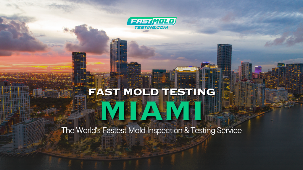 Image for Fast Mold Testing - Miami with ID of: 6971903