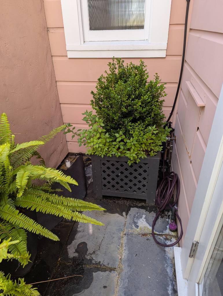 Image for Fast Mold Testing - Miami with ID of: 6971905