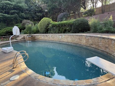 Image for Yummy Pools with ID of: 6972441