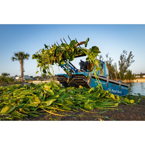 Image for Pond Guru | Lake and Pond Management with ID of: 6972674