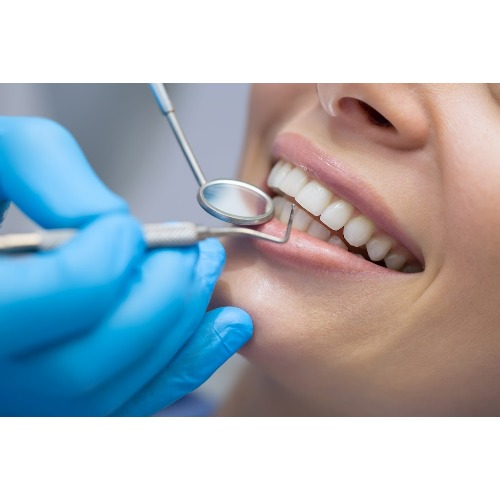 Image for Dr. Perla Hernandez with ID of: 6973948