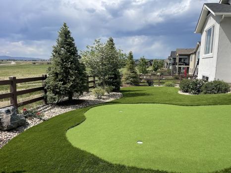 Image for Dominion Turf with ID of: 6974566