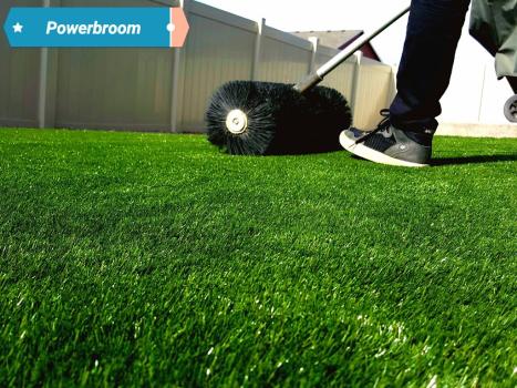 Image for Dominion Turf with ID of: 6974567