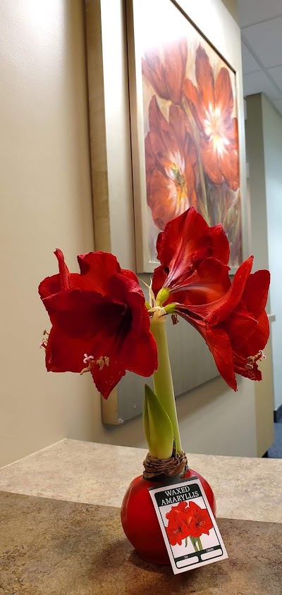 Image for South Cary Dental with ID of: 6975611