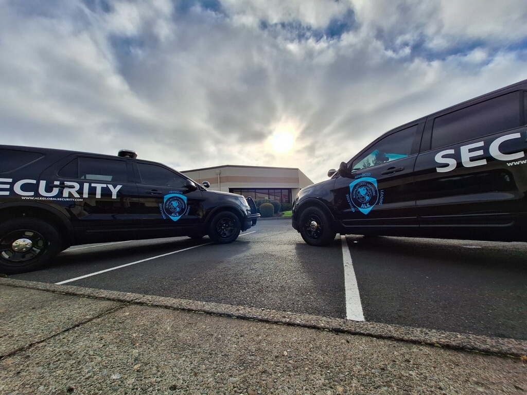 Image for ALK Global Security Solutions with ID of: 6977251