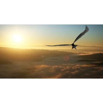 Image for Uplift Counselling with ID of: 6977369