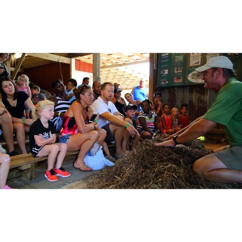 Image for Insta-Gator Ranch & Hatchery with ID of: 6978065