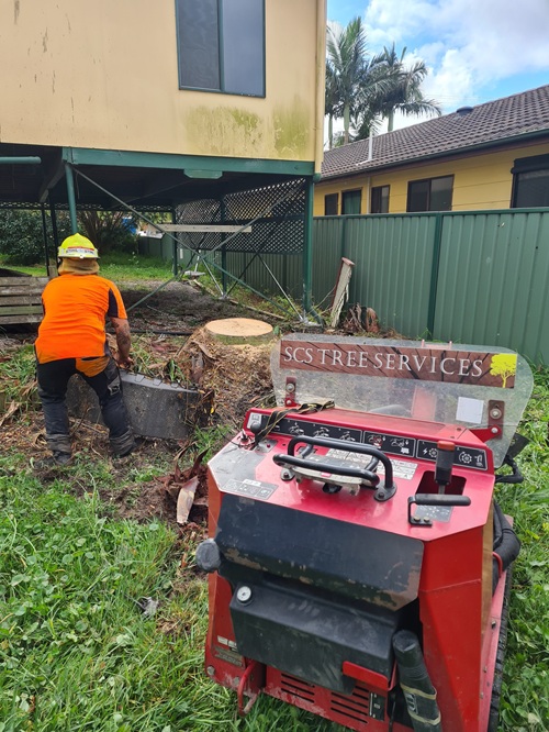 Image for SCS Tree Services with ID of: 6979175