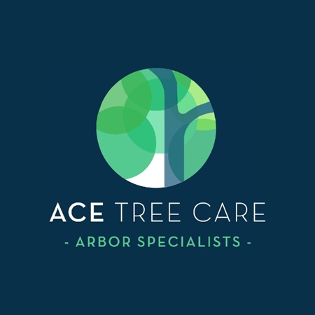 Image for Ace Tree Care with ID of: 6979354