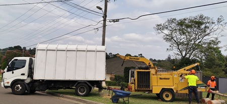 Image for Ace Tree Care with ID of: 6979359