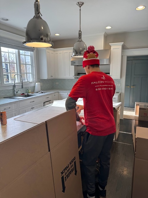 Image for Falcon Moving, LLC (Illinois) with ID of: 6980372