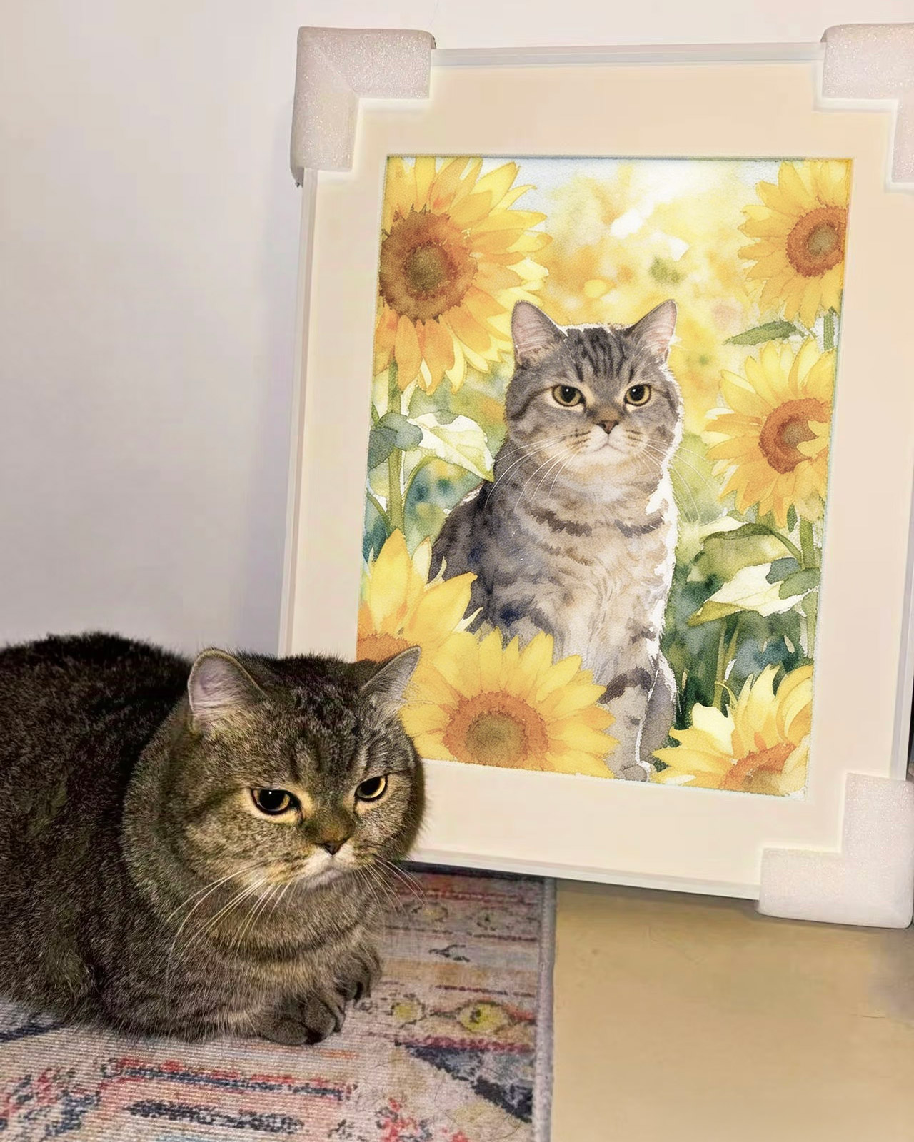 Image for Paws Fantasy Ltd with ID of: 6982042