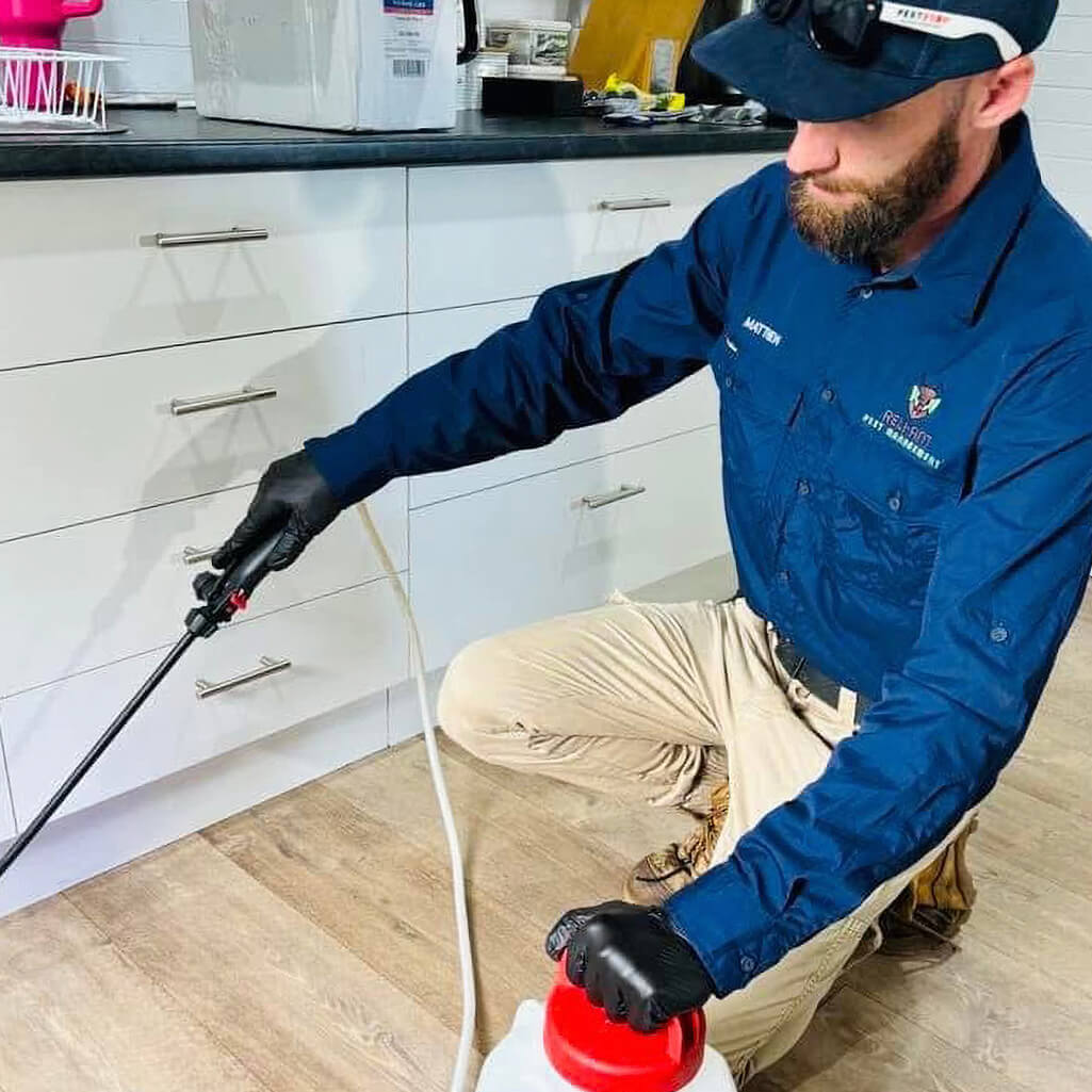 Image for Reli-Ant Pest Management with ID of: 6982365