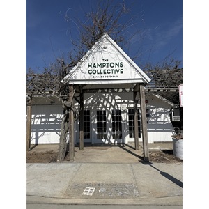 Image for The Hamptons Collective with ID of: 6982524