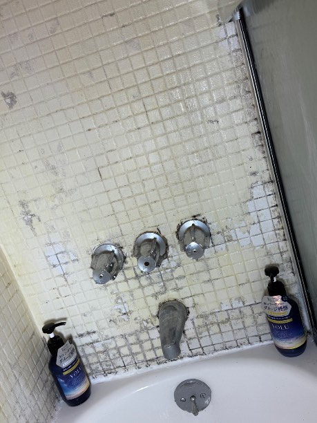 Image for Fast Mold Testing - Washington, DC with ID of: 6982610