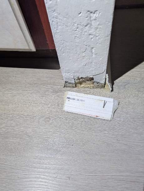 Image for Fast Mold Testing - San Antonio with ID of: 6982959
