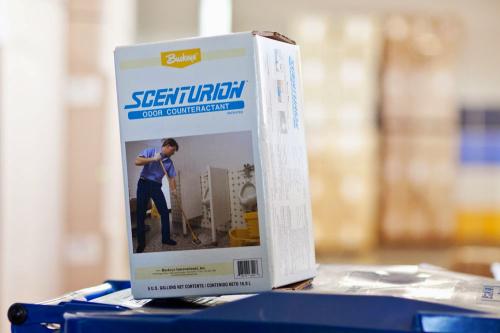 Image for Buckeye Cleaning Centers with ID of: 6983967