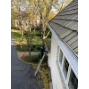 Image for My Window Washing and Gutter Cleaning with ID of: 6983997