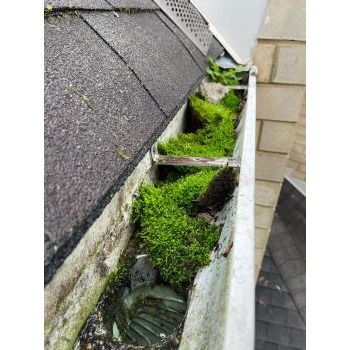 Image for My Window Washing and Gutter Cleaning with ID of: 6984001