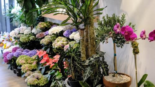Image for PlantShed with ID of: 6984143