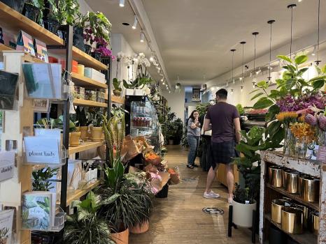 Image for PlantShed with ID of: 6984145
