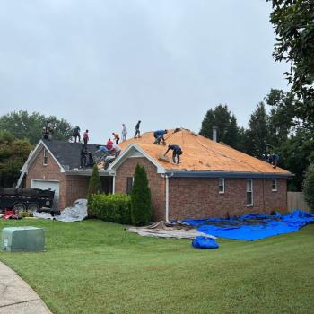 Image for Force Roofing Systems with ID of: 6984179
