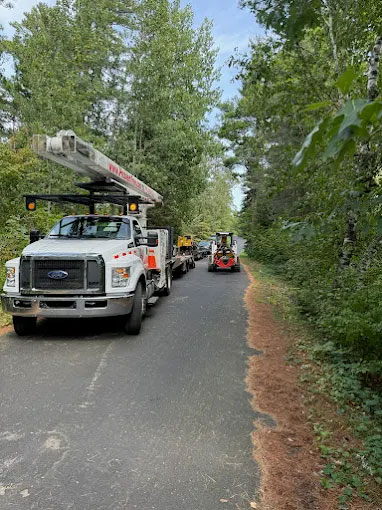 Image for Quality Tree Service with ID of: 6984541