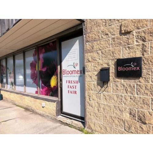 Image for Bloomex Ottawa Flowers & Gift Baskets with ID of: 6984572