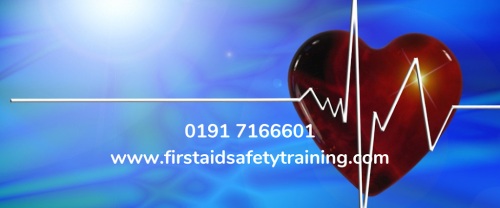 Image for First Aid and Safety Training with ID of: 6985229