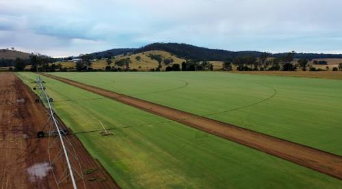 Image for Roberts Turf Supplies with ID of: 6985466