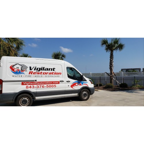 Image for Vigilant Restoration SE with ID of: 6986418