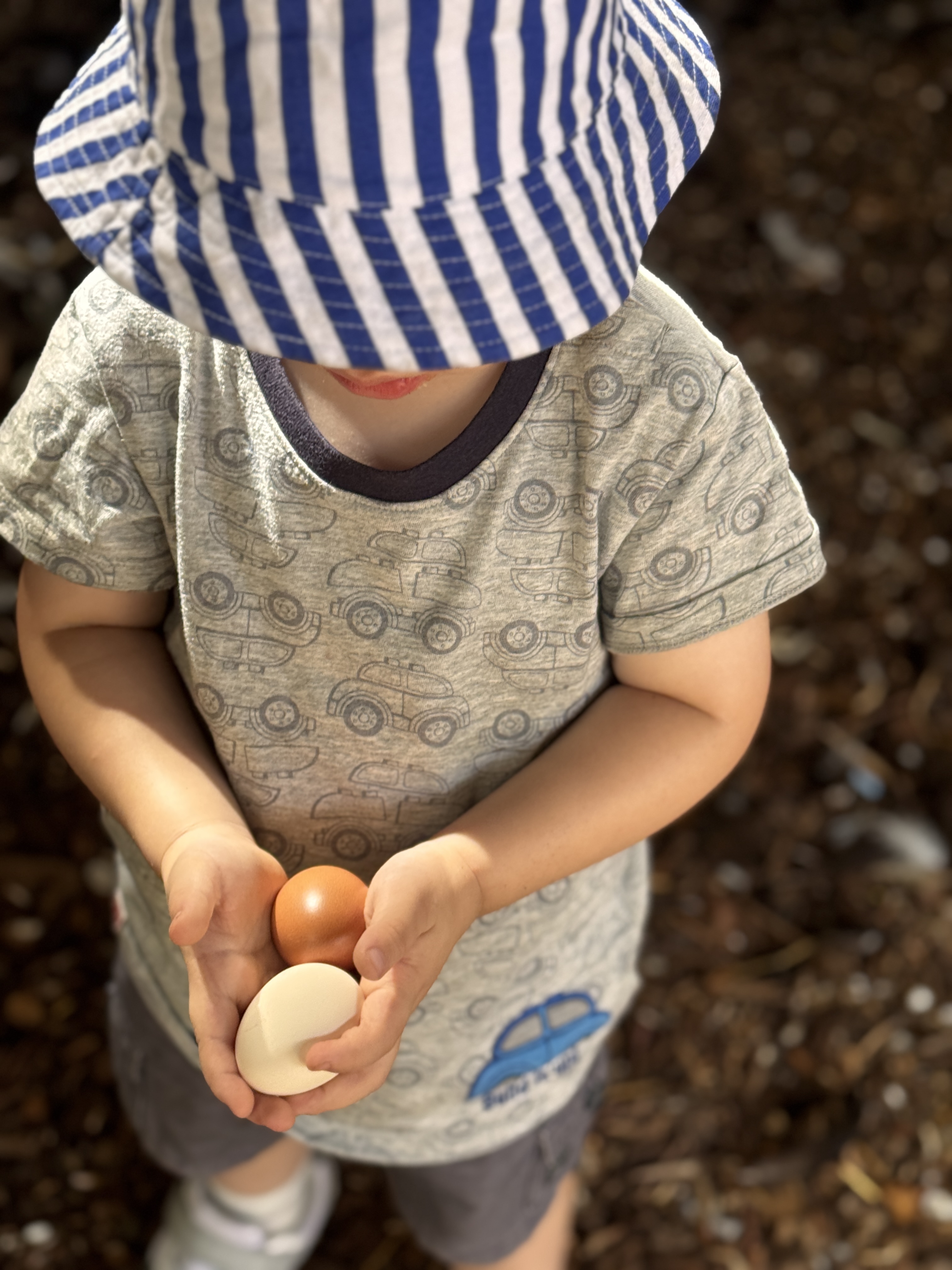 Image for Little Learners with ID of: 6144603