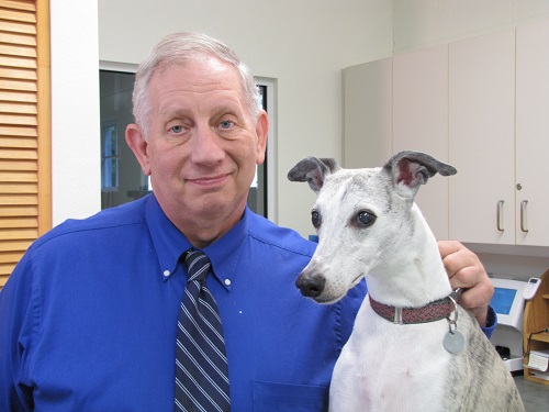 Image for Fruitville Veterinary Clinic with ID of: 6988018